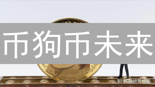 币狗币未来：狂潮退去？深度剖析与投资策略！