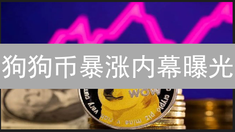 狗狗币暴涨内幕曝光：下一个财富神话？（附技术分析）