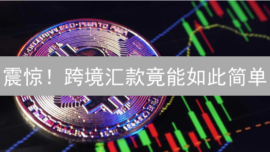 震惊！跨境汇款竟能如此简单？莱特币带你玩转全球支付！