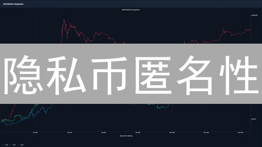 隐私币匿名性：真能保护你？深度解析与未来趋势