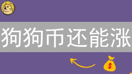 狗狗币还能涨？2024年投资DOGE币新手指南，教你如何购买！