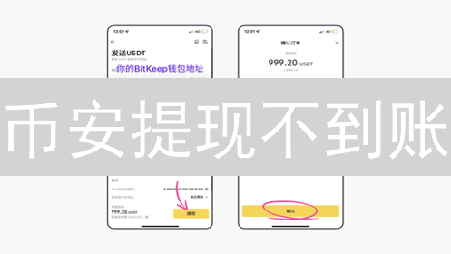 币安提现不到账？2024最新：原因+解决方法，快速到账攻略！