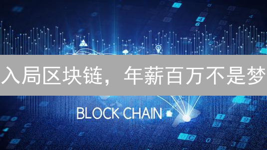 入局区块链，年薪百万不是梦？2024就业指南来啦！