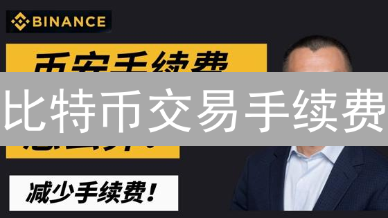 比特币交易手续费：如何省钱又快速确认？2024最新指南！