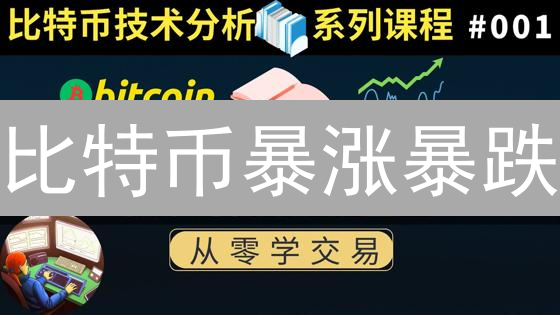 比特币暴涨暴跌？2024 年最全行情预测、交易技巧与风险评估！