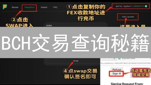 BCH交易查询秘籍：快速追踪你的比特币现金！