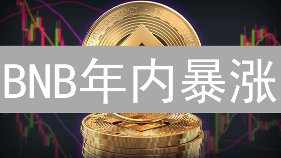 BNB年内暴涨？价格预测：牛市还是熊市？
