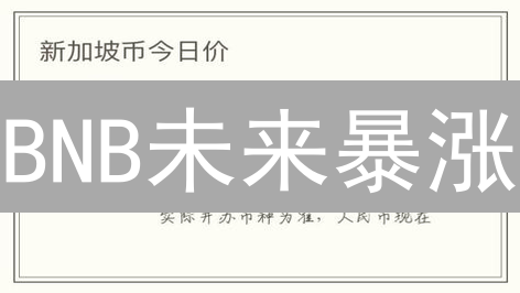 BNB未来暴涨？币安币价值深度分析与风险预警！