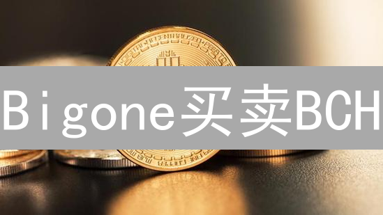 Bigone买卖BCH？机遇与风险分析，新手必看攻略！