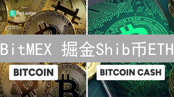 BitMEX 掘金Shib币ETH：高杠杆交易终极指南！
