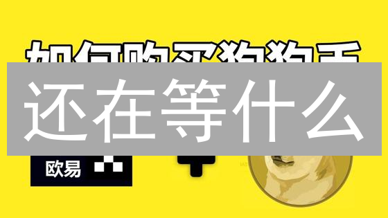还在等什么？Bitfinex狗狗币交易指南：新手也能快速上手！