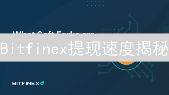 Bitfinex提现速度揭秘：多久到账？掌握这些技巧更快到账！
