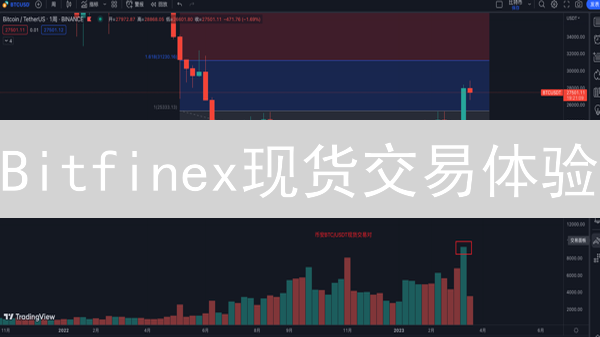 Bitfinex现货交易体验：深度剖析与用户指南
