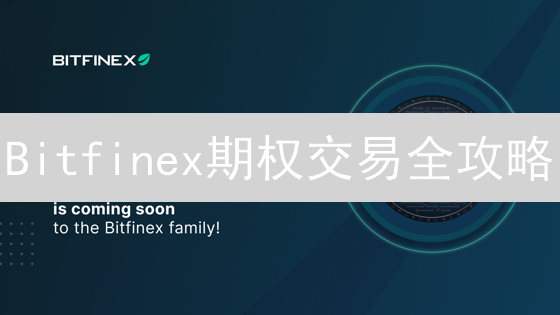 Bitfinex期权交易全攻略：新手必看，掌握盈利秘诀！