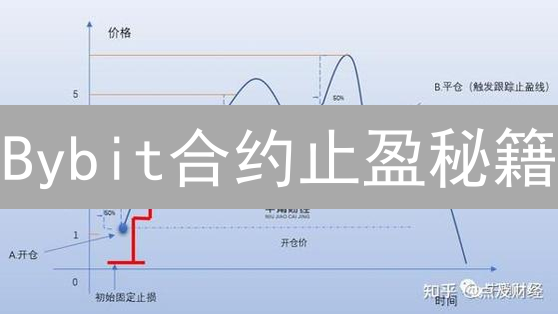 Bybit合约止盈秘籍：锁定利润，告别缩水！