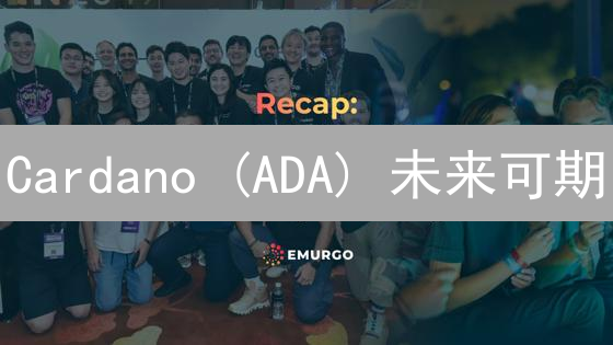 Cardano (ADA) 未来可期？技术革新能否助力其长期发展？