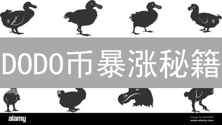 DODO币暴涨秘籍：如何抓住去中心化金融的下一波浪潮？