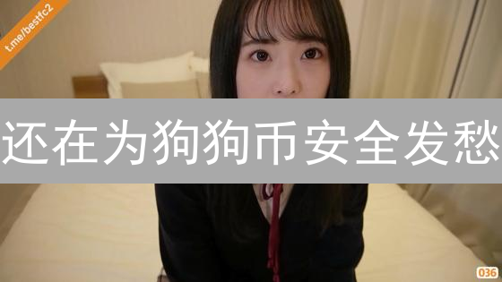 还在为狗狗币安全发愁？币安DOGE存储全攻略，速来！