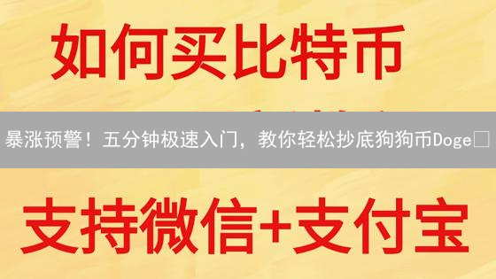 暴涨预警！五分钟极速入门，教你轻松抄底狗狗币Doge🚀