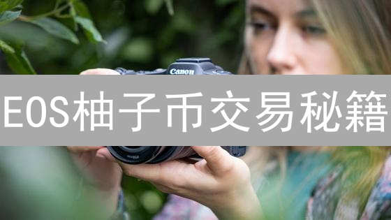 EOS柚子币交易秘籍：高手进阶之路，你也能赚！