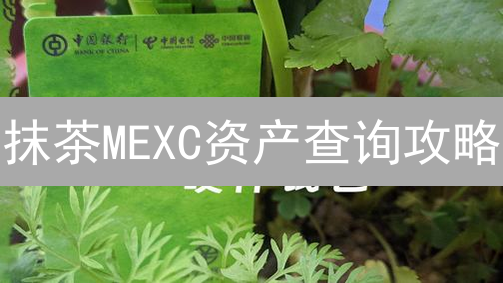 抹茶MEXC资产查询攻略：新手必看，快速掌握资金动向！