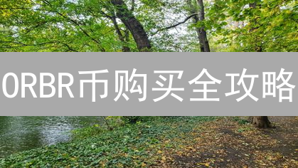 ORBR币购买全攻略：抓住稀缺性，新手也能轻松入手！