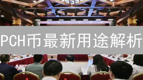 PCH币最新用途解析：如何玩转社区治理与DeFi？