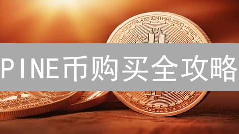 PINE币购买全攻略：还在找渠道？这篇就够了！