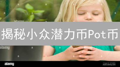 揭秘小众潜力币Pot币：隐私至上的数字资产？