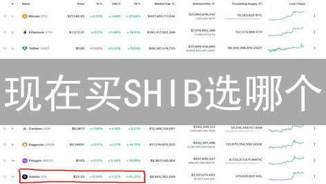 现在买SHIB选哪个？Gemini vs 欧易(OKX)柴犬币交易平台深度对比！
