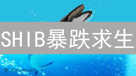 SHIB暴跌求生：止损自救，掌握加密市场生存法则？