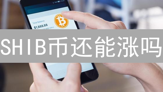 SHIB币还能涨吗？深度解析柴犬币未来潜力与风险！